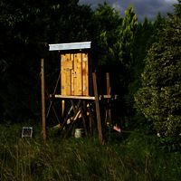 stall / schrein   mai 2017 